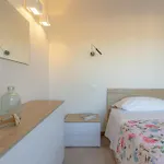 Apartman Tesino Eco With Access & Parasol *