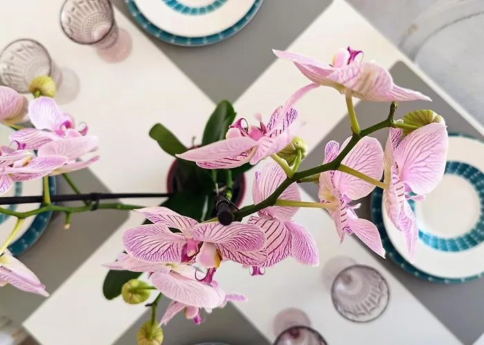 Apartamento Tesino Eco With Access & Parasol *